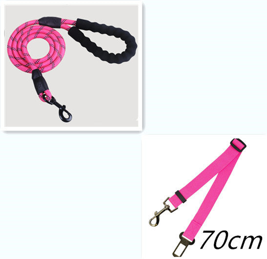 Reflective Dog Leash (Glow in the Dark)