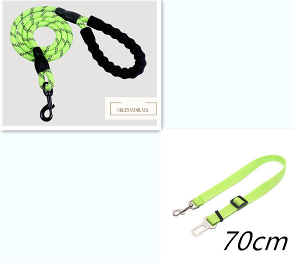 Reflective Dog Leash (Glow in the Dark)