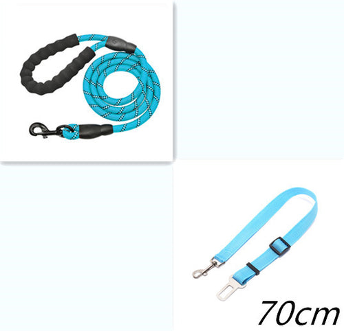 Reflective Dog Leash (Glow in the Dark)