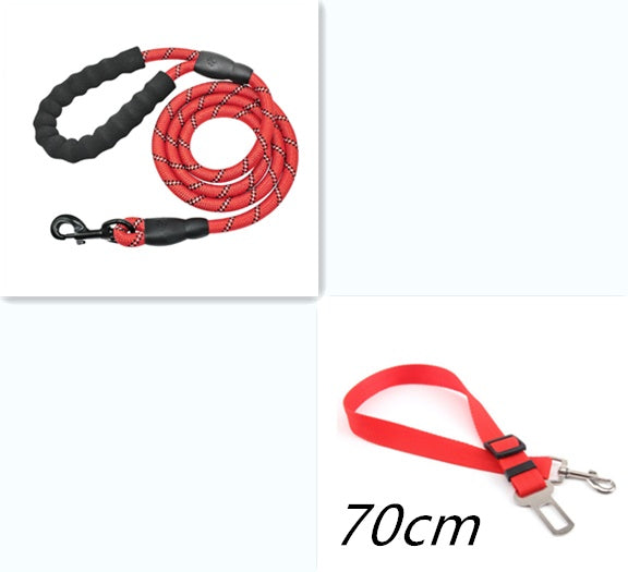 Reflective Dog Leash (Glow in the Dark)